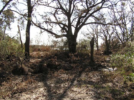 PA050419